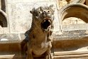 2018-09-19 10-22-49 Chateau des Milandes BMa
